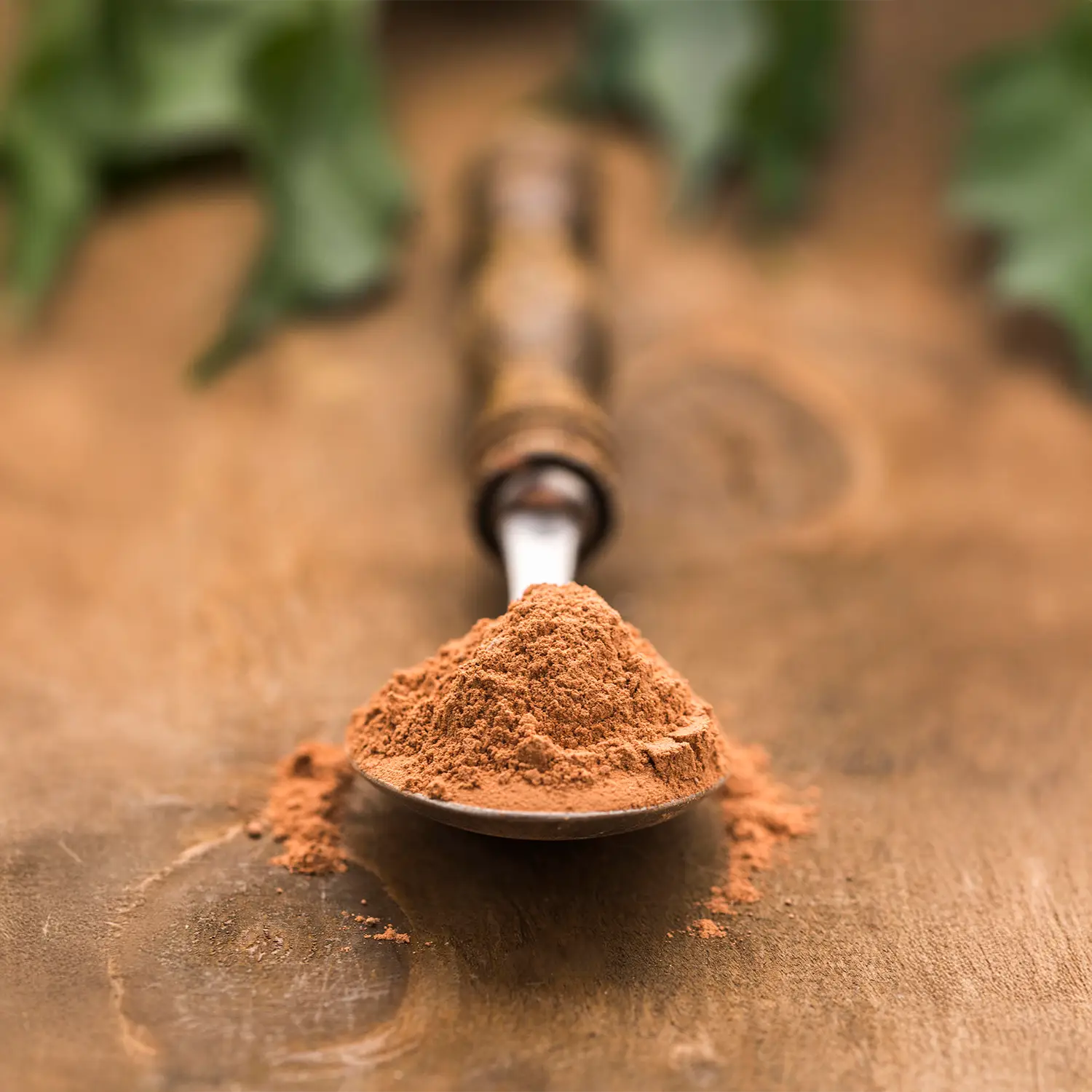 CardioForte-potente-accion-antioxidante-ayudando-a-los-vasos-sanguineos.webp