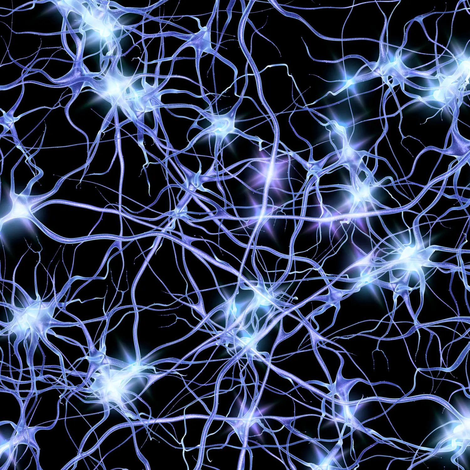 MentalForte-mejora-la-memoria-y-concentracion.webp